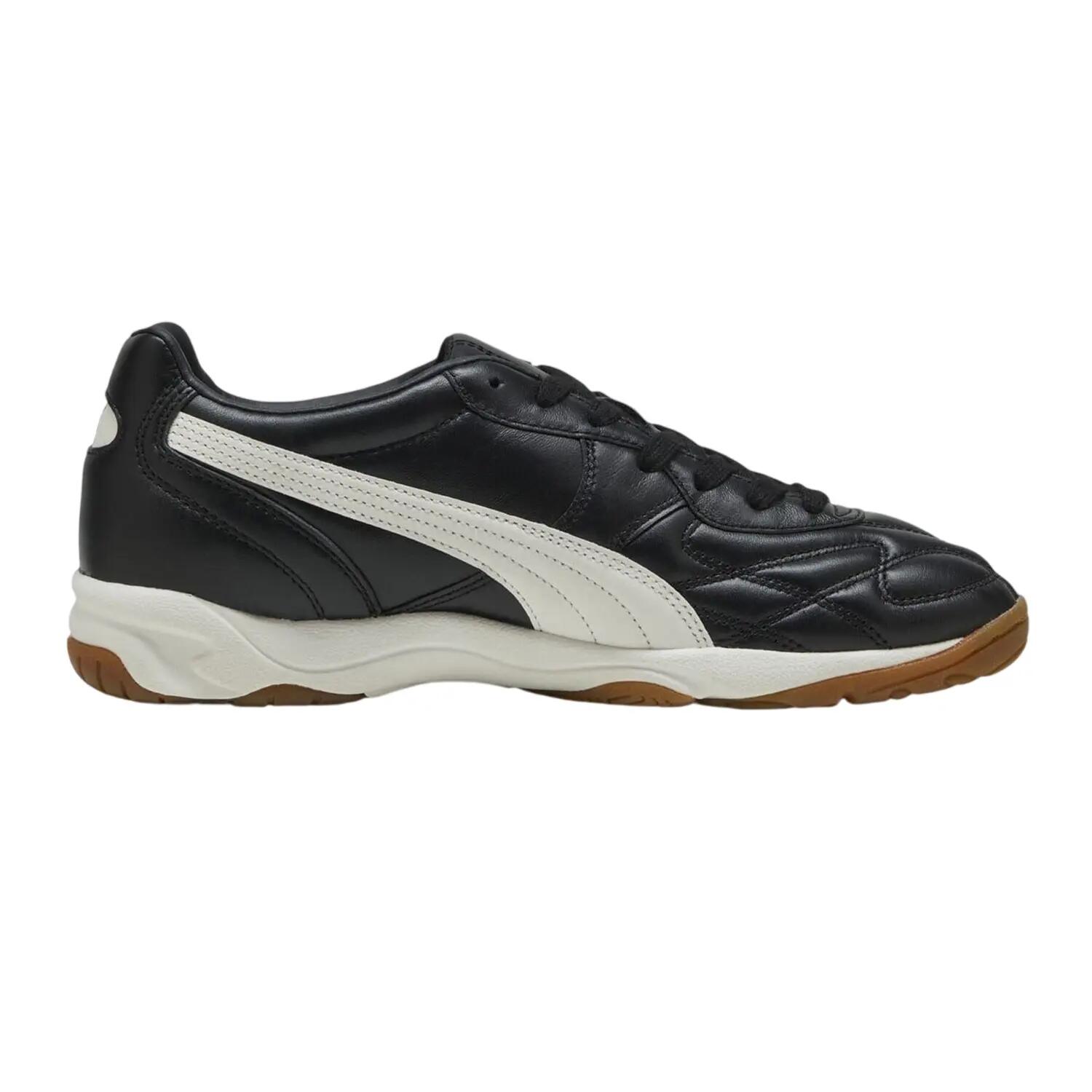 PUMA picture