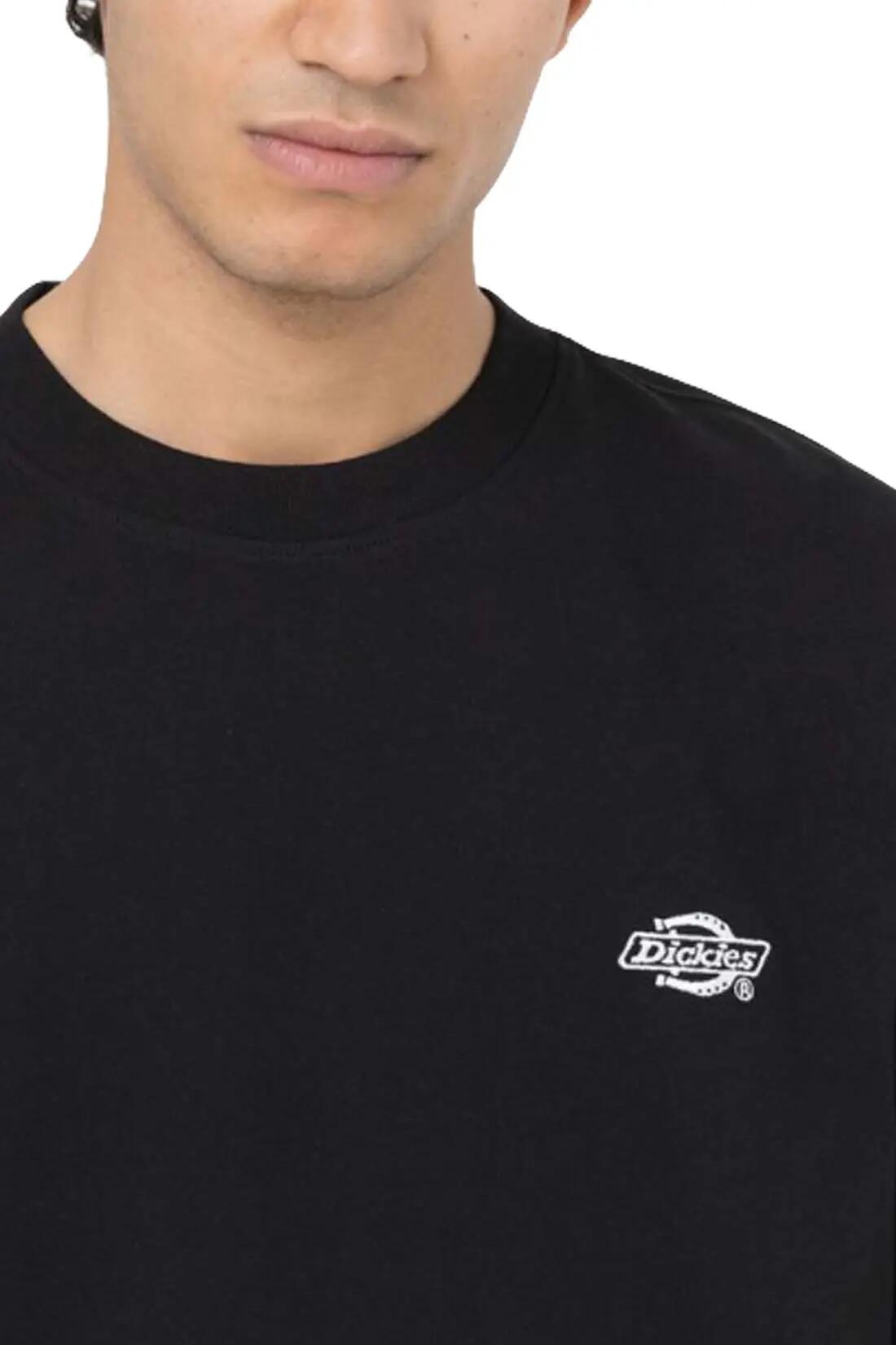 DICKIES picture