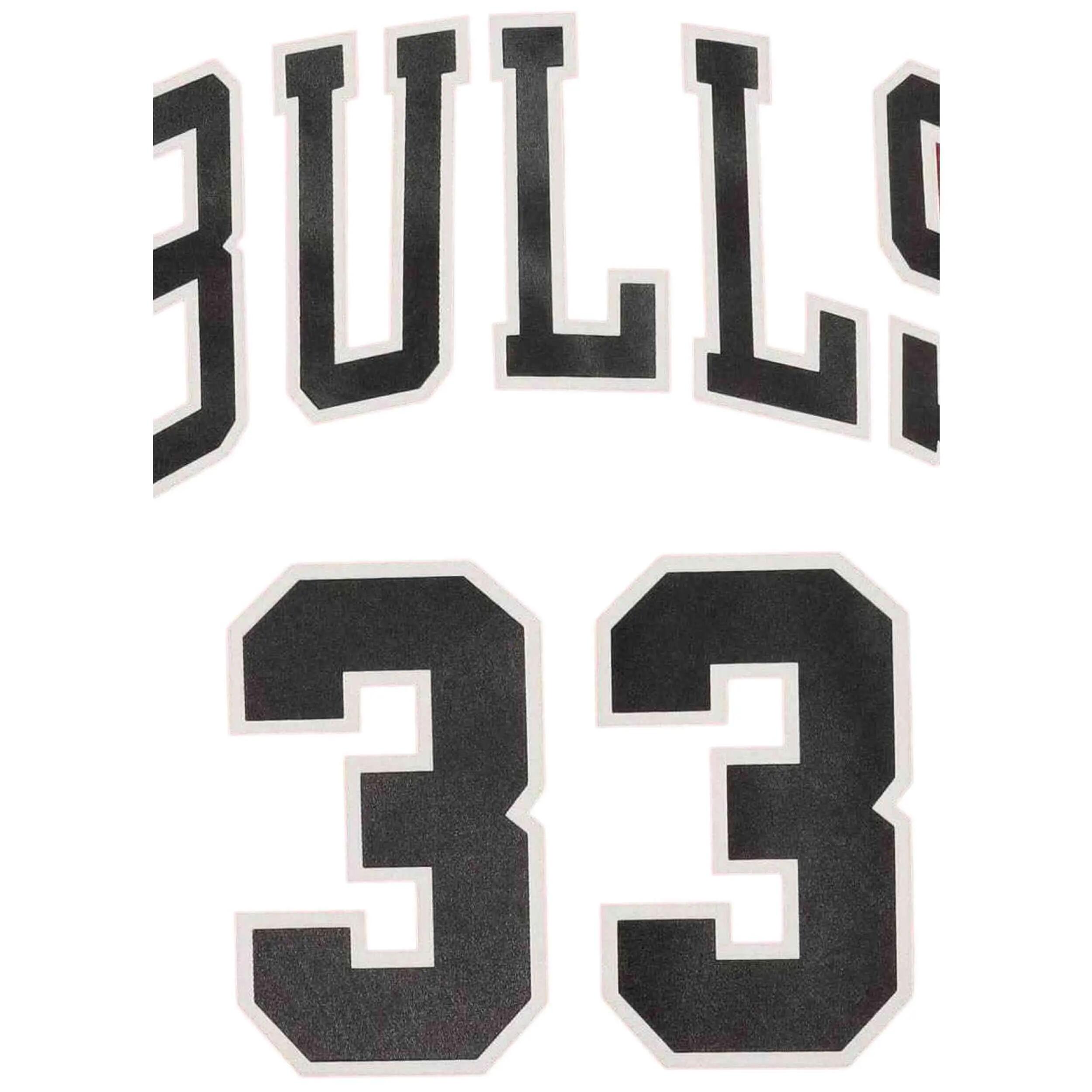 Maillot Chicago Bulls 1997/98 Scottie Pippen 4/5