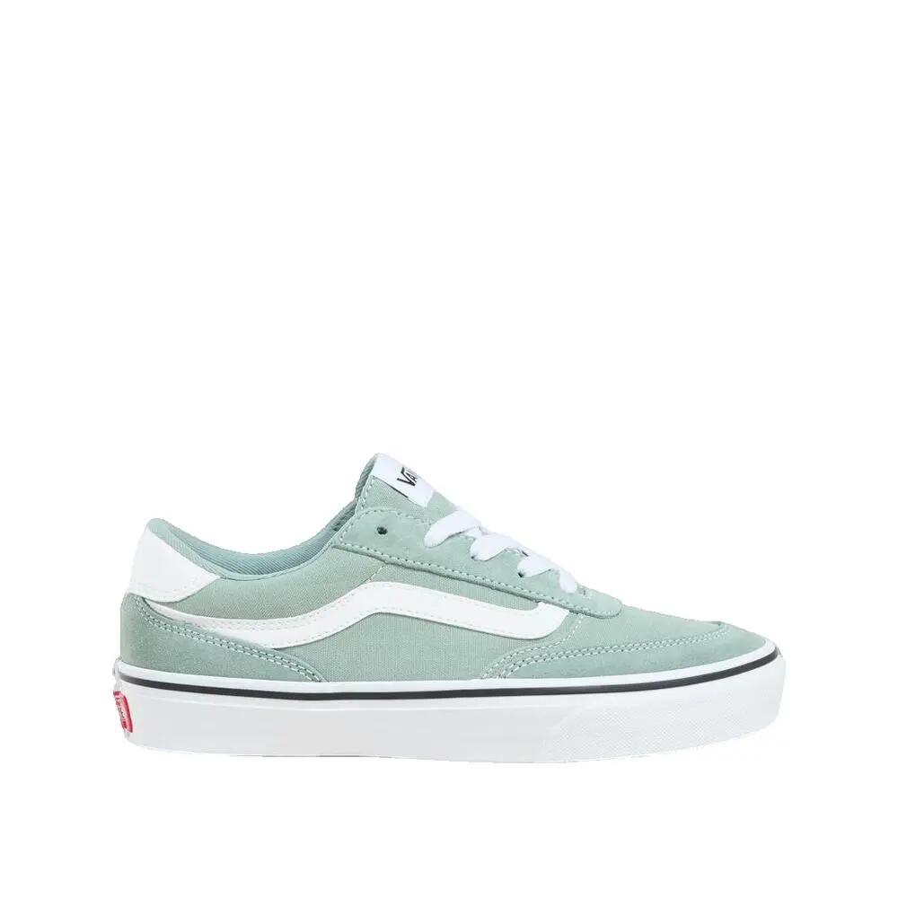 VANS picture