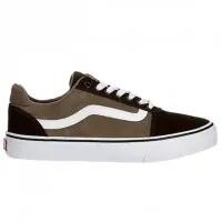 VANS picture