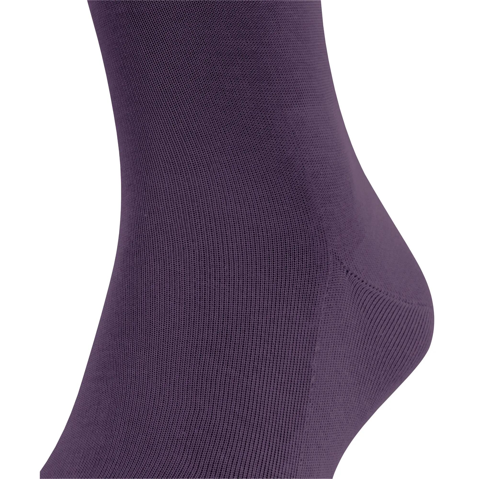 Kniesokken Falke Tiago 8/9