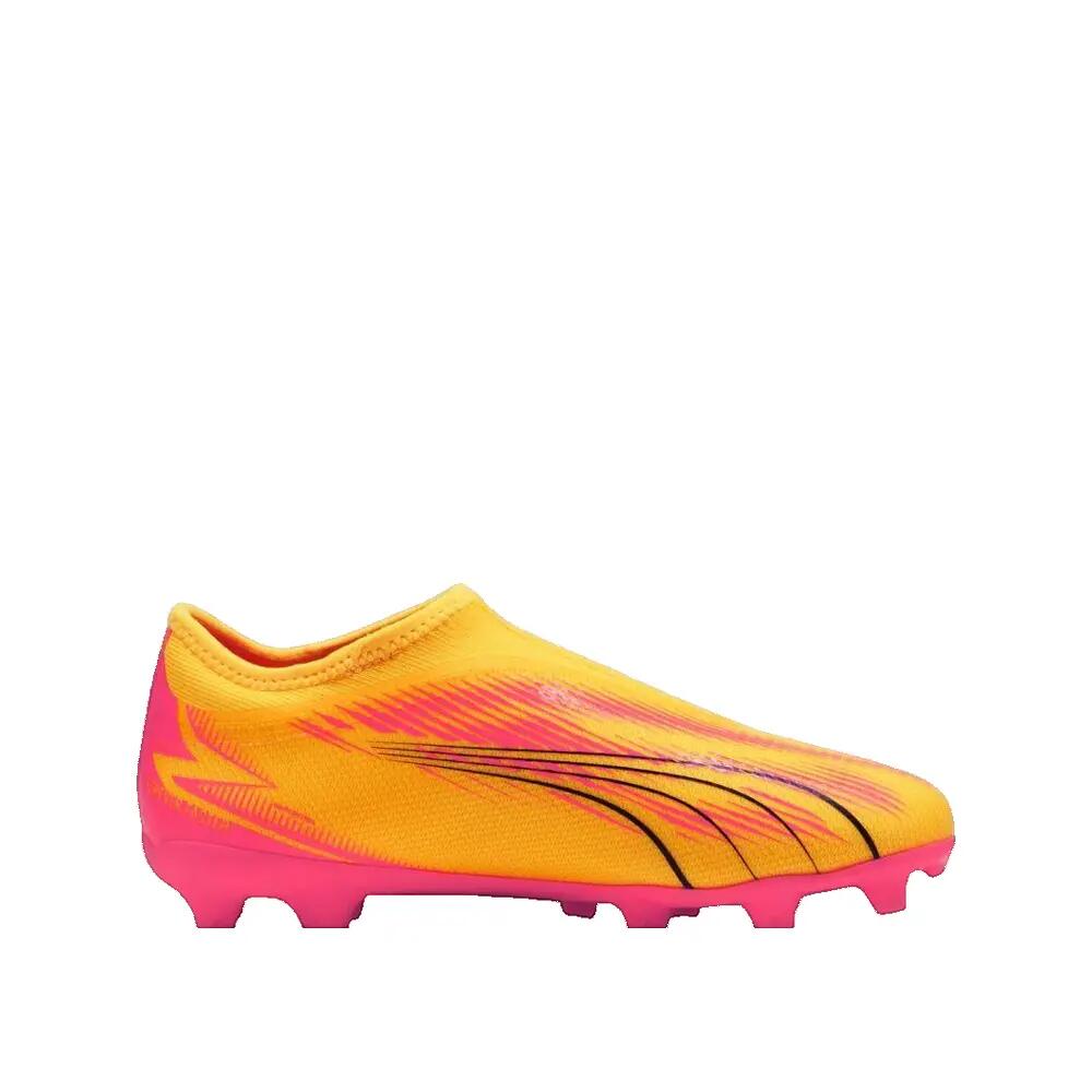 PUMA picture