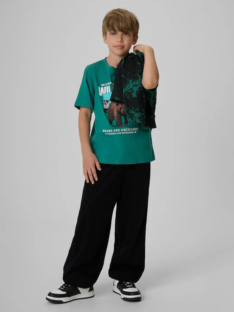 T-shirt regular z nadrukiem chłopięcy 4F 4/6