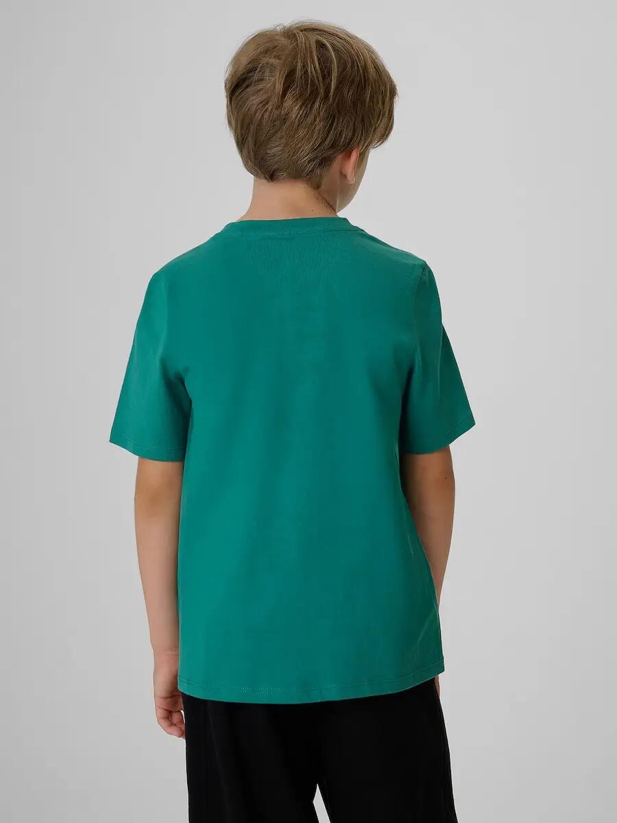 T-shirt regular z nadrukiem chłopięcy 4F 2/6