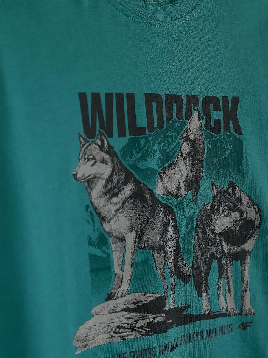 T-shirt regular z nadrukiem chłopięcy 4F 6/6