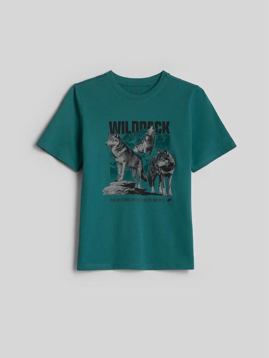 T-shirt regular z nadrukiem chłopięcy 4F 5/6