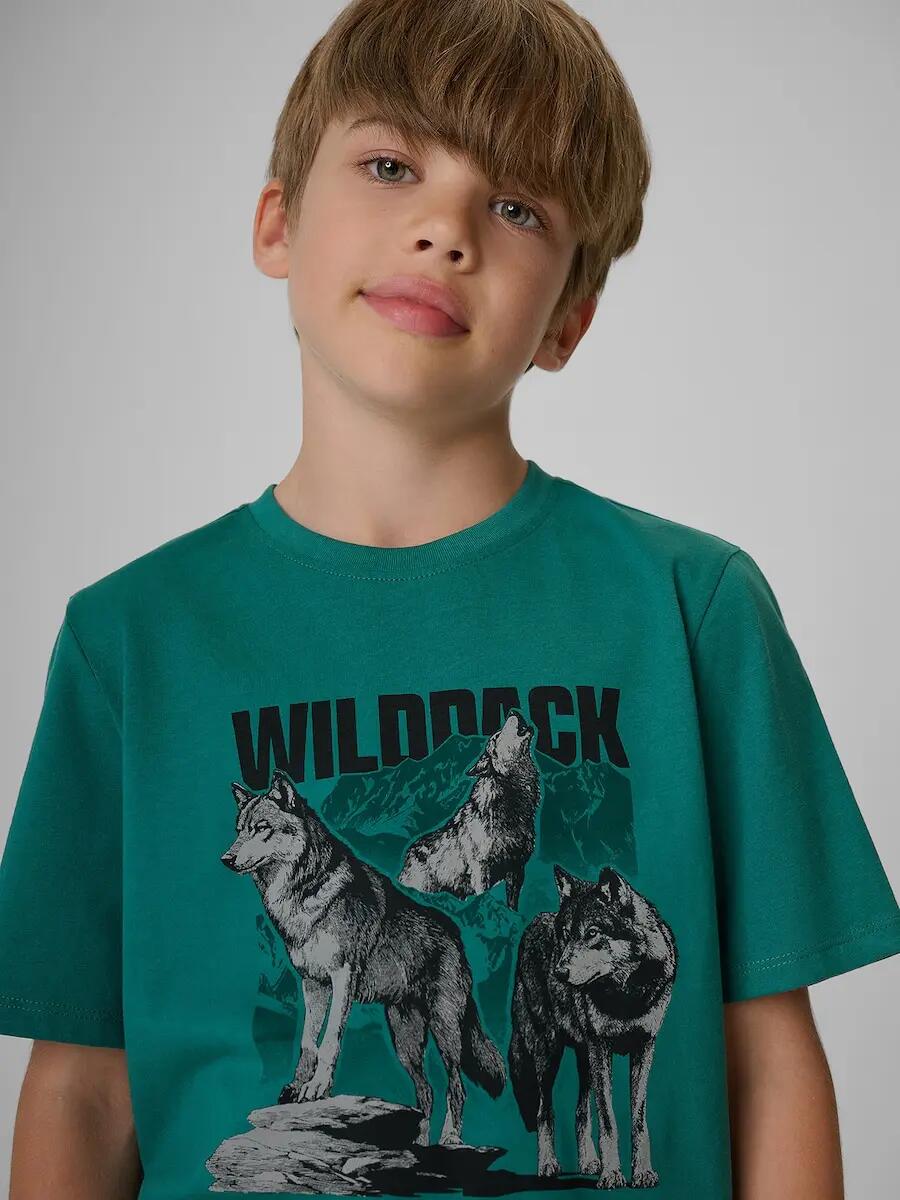 T-shirt regular z nadrukiem chłopięcy 4F 3/6