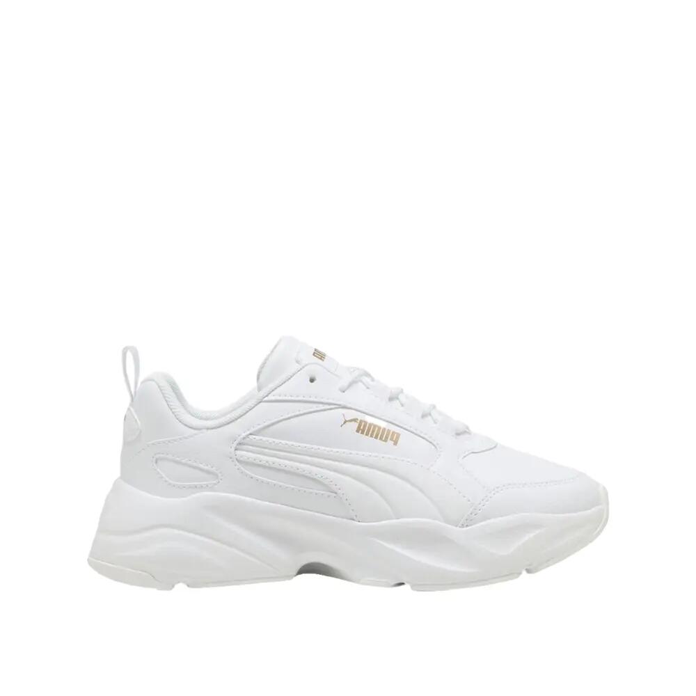 PUMA picture
