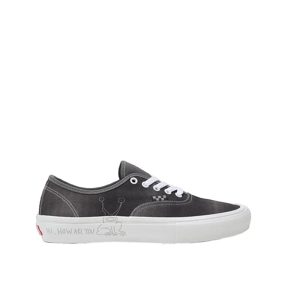 Schuhe Vans Daniel Johnston Skate Authentic Grau 1/3