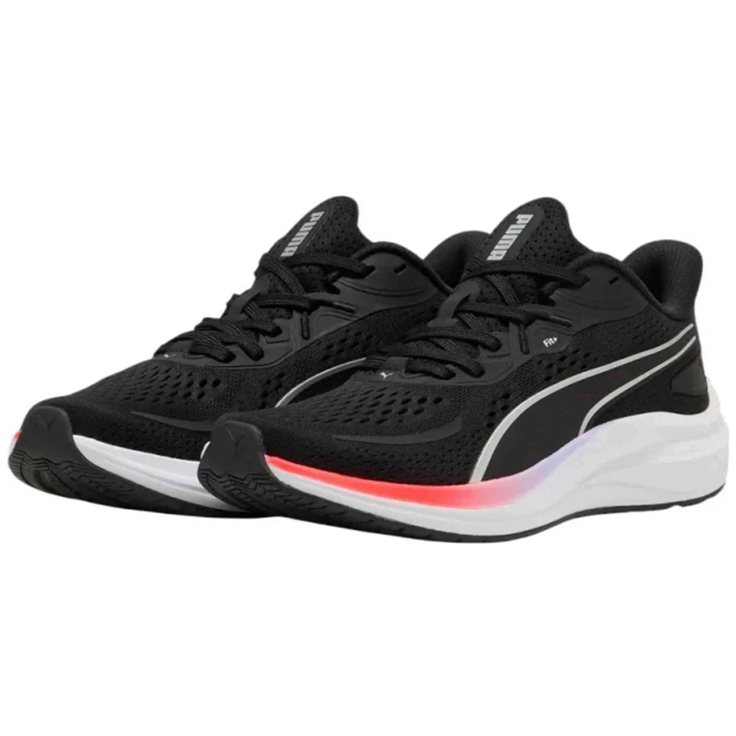 PUMA picture