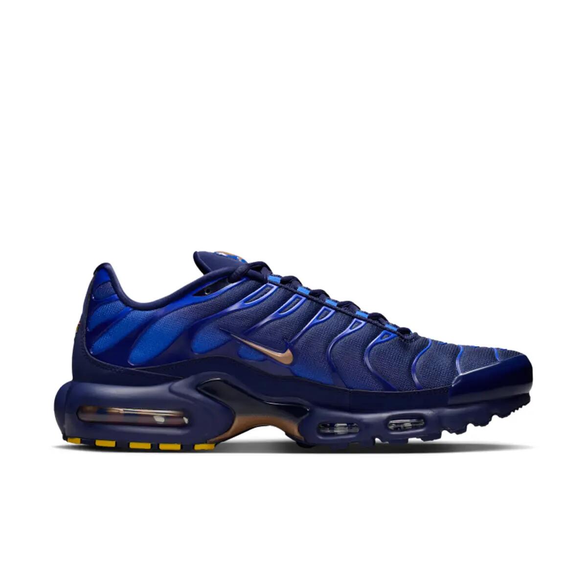 Nike Air Max Plus French Football Federation 3/6