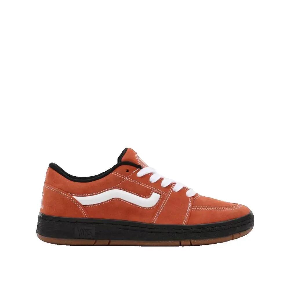 VANS picture