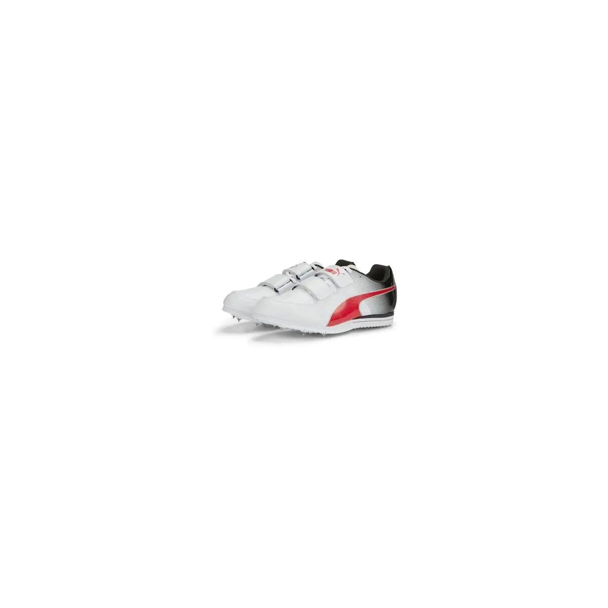 PUMA picture