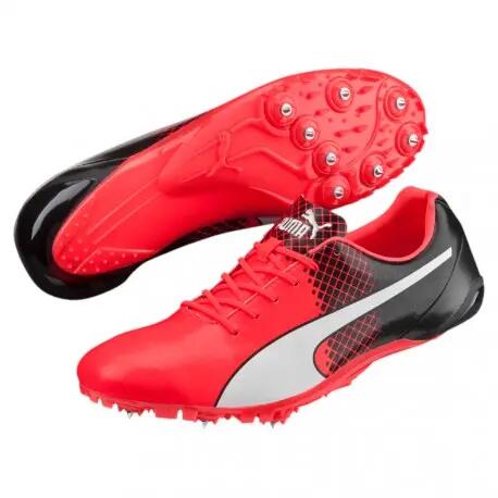 PUMA picture