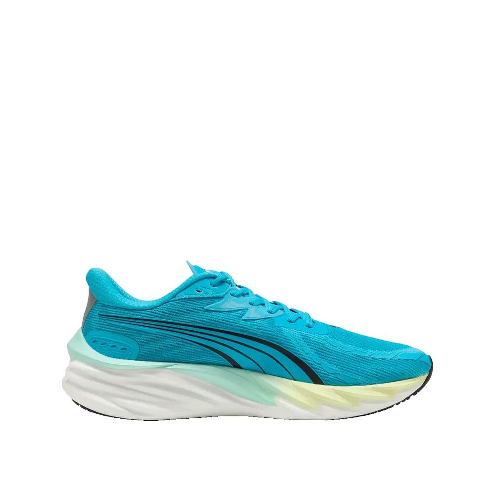 PUMA picture