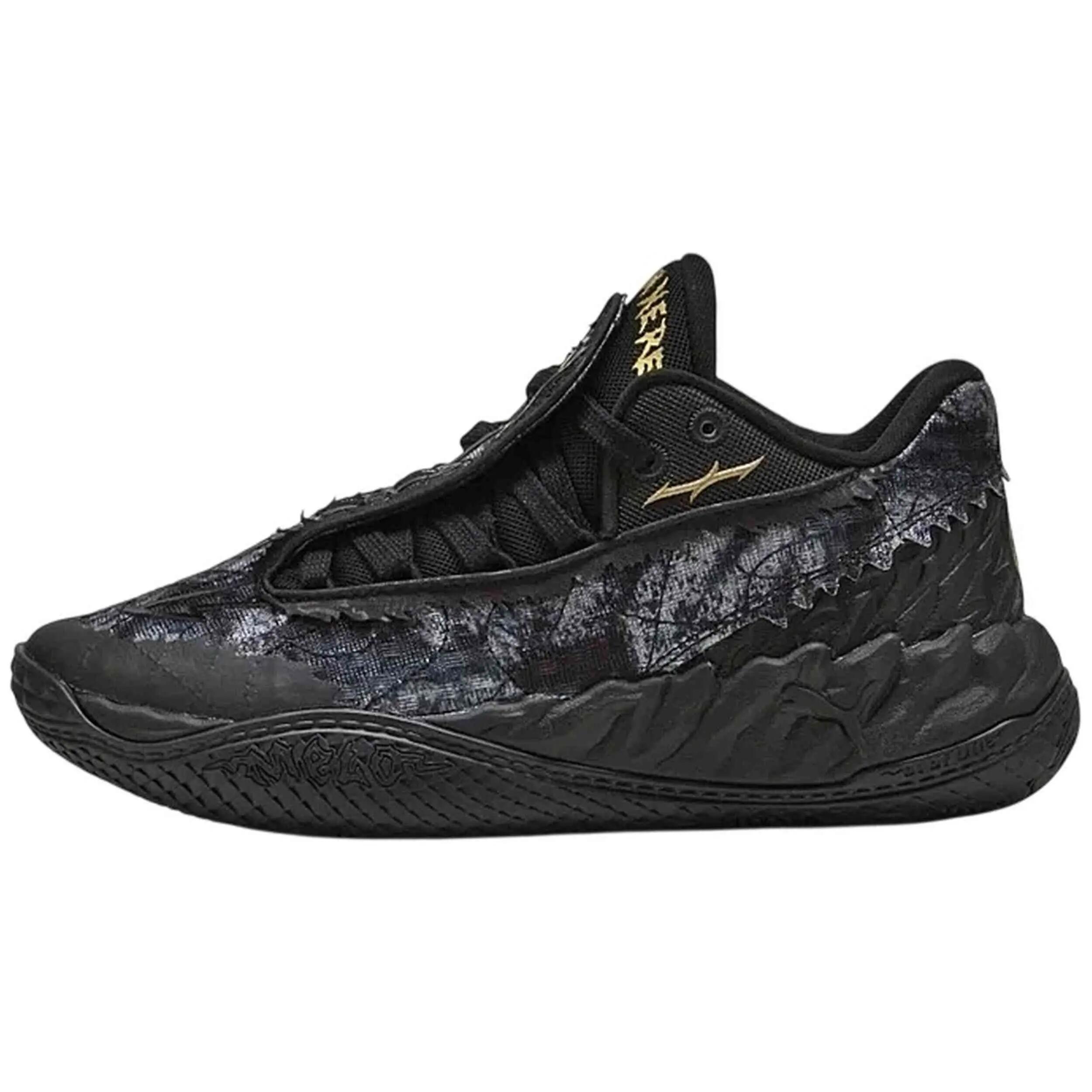 PUMA picture