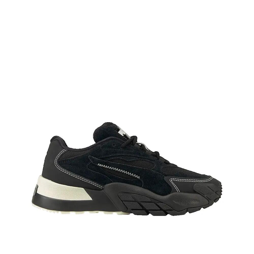 PUMA picture
