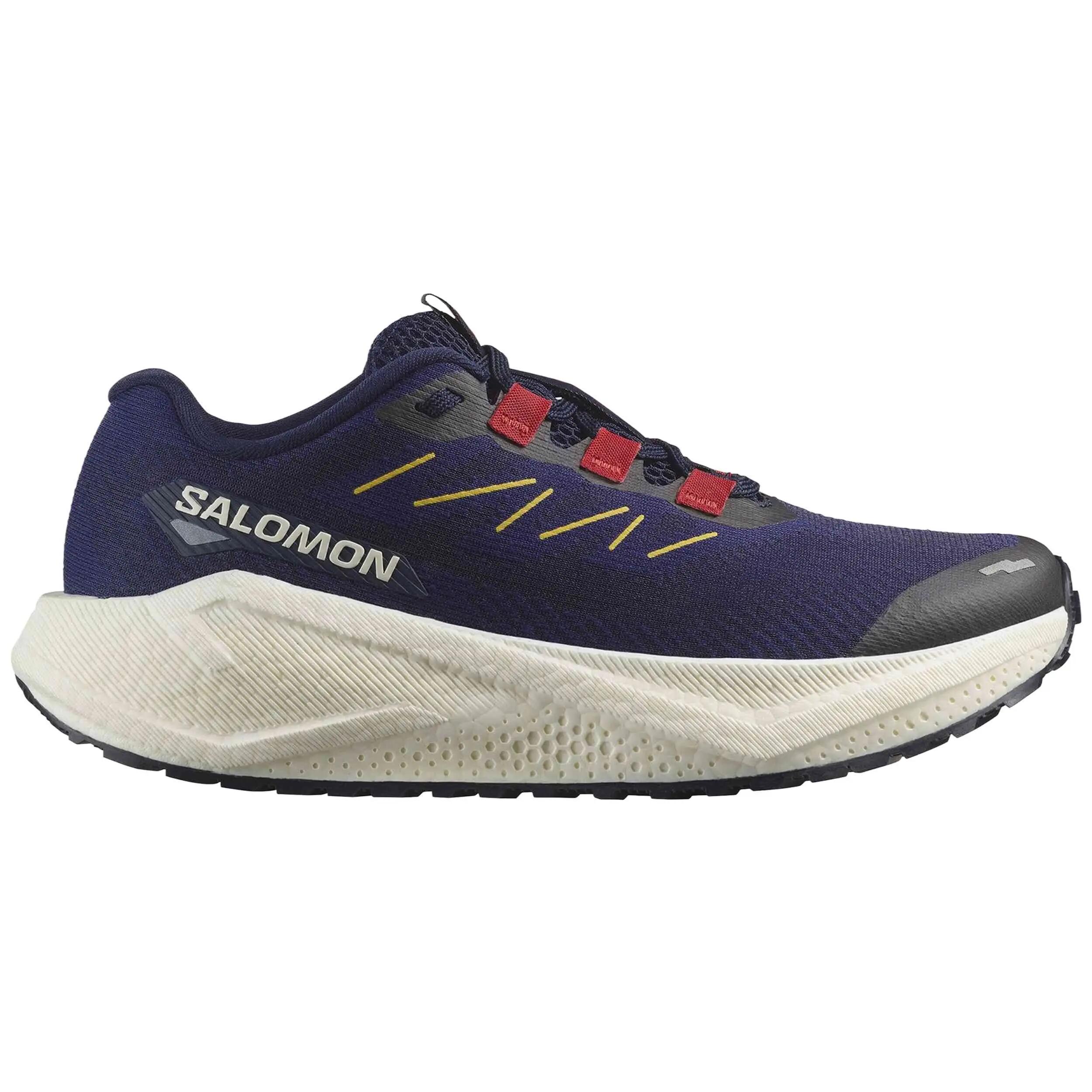SALOMON picture