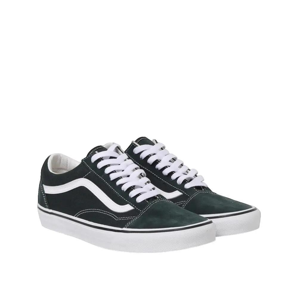 VANS picture