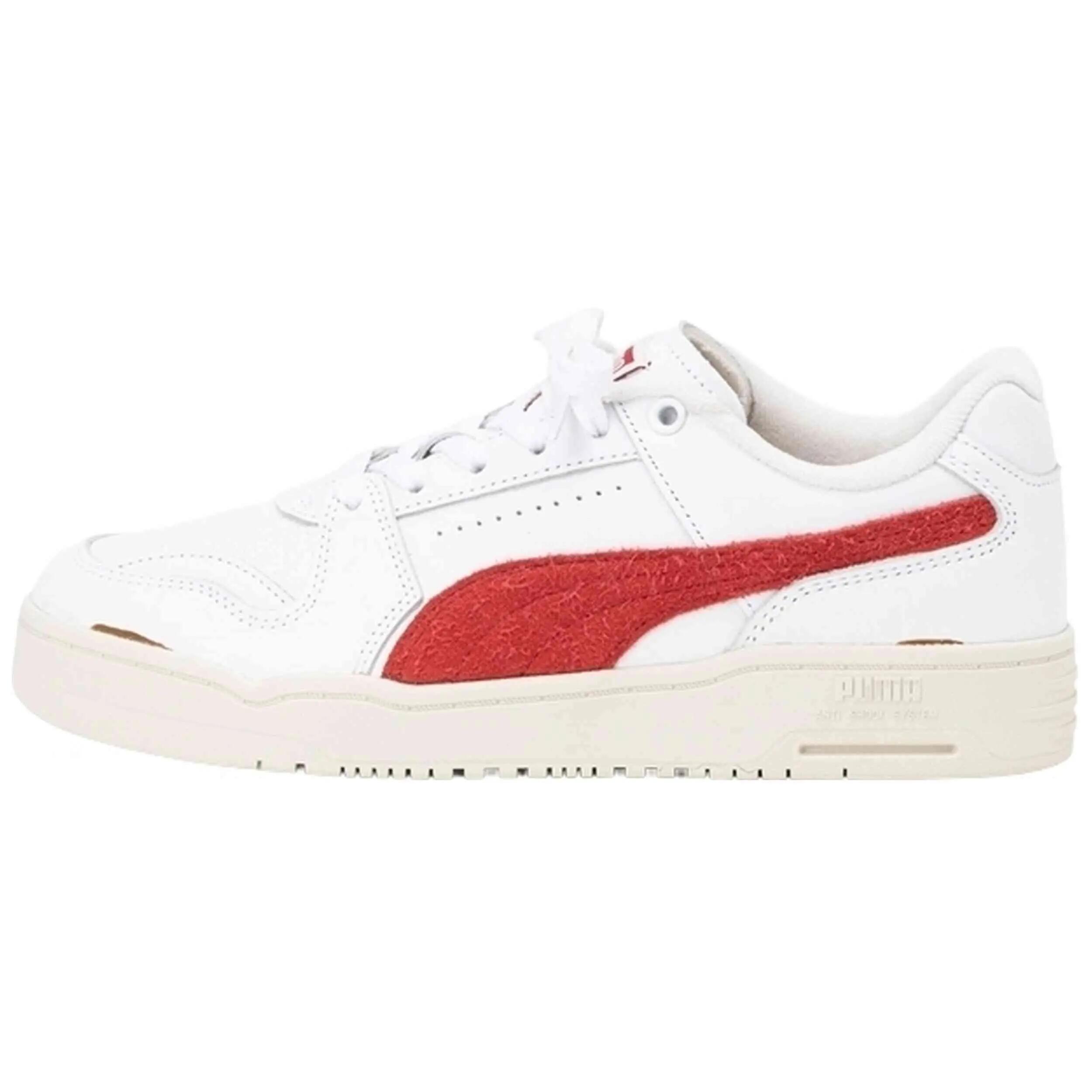 PUMA picture