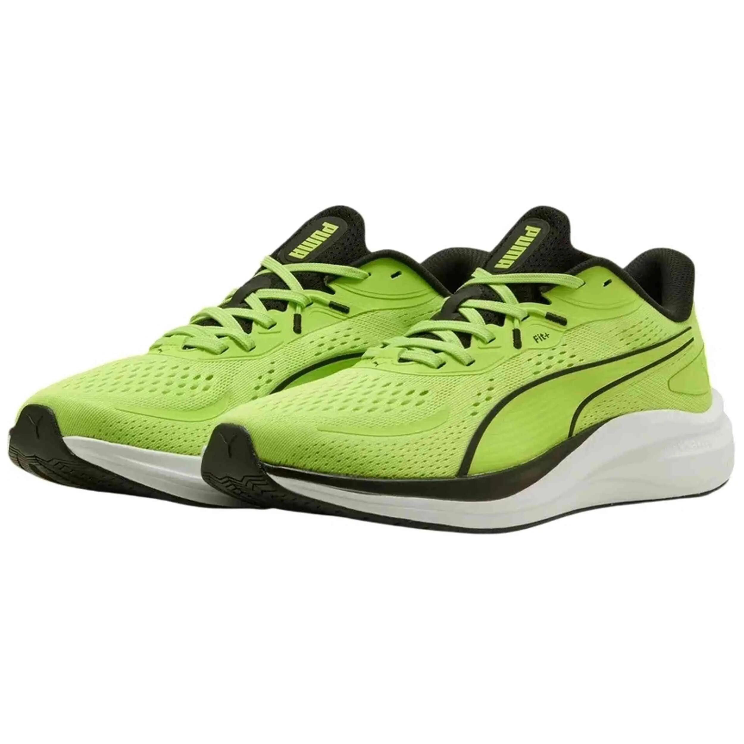 PUMA picture