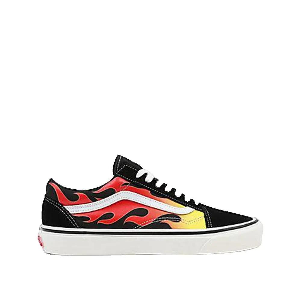VANS picture