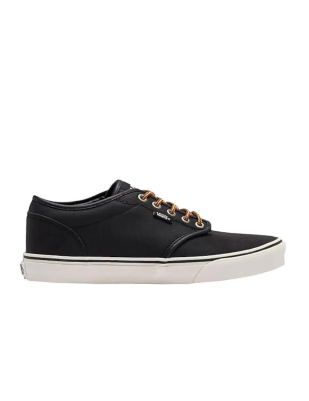 VANS picture