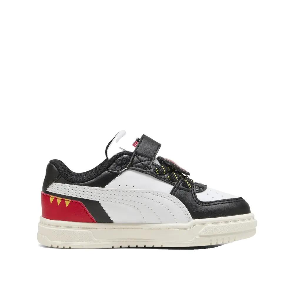 PUMA picture