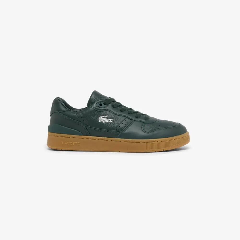 LACOSTE picture