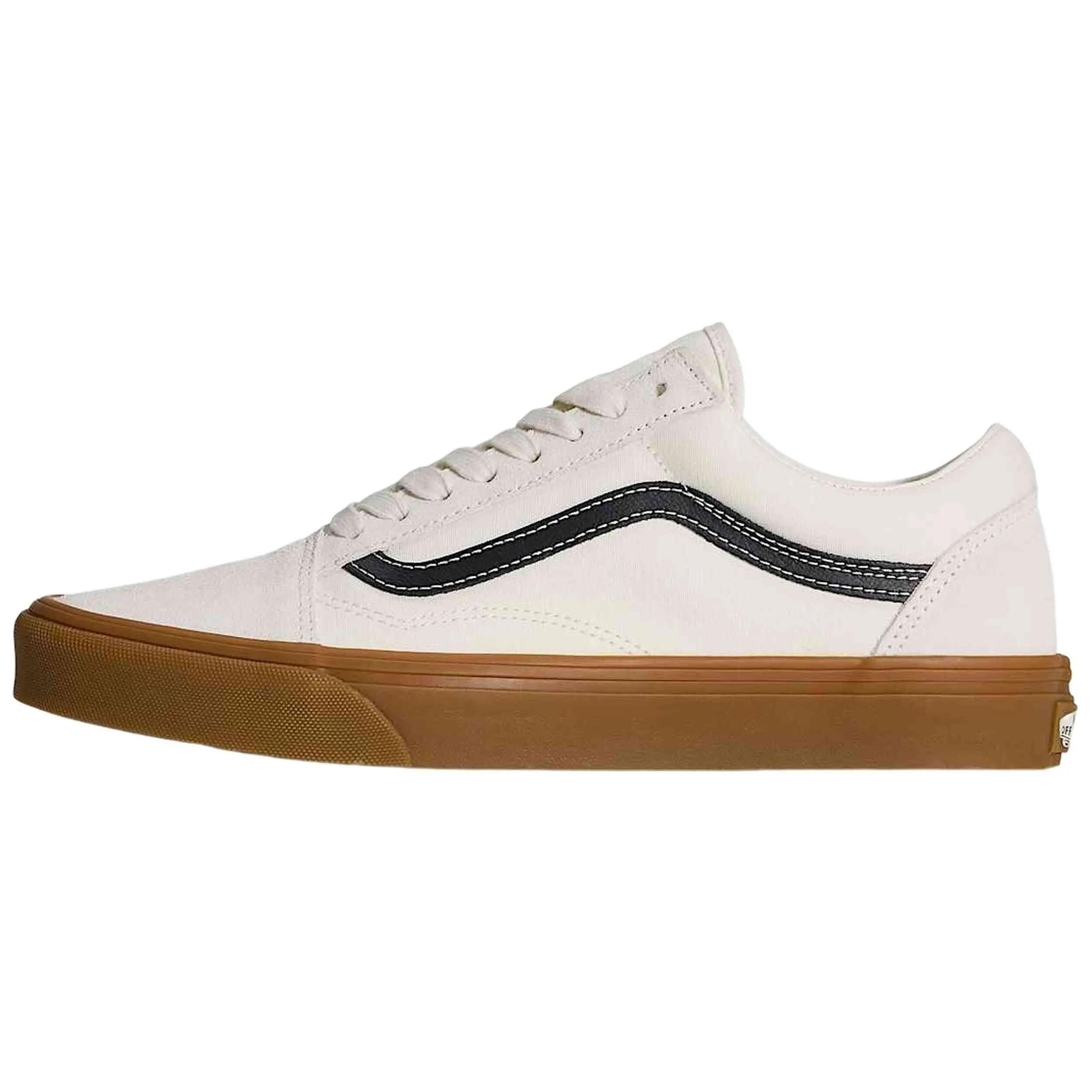 VANS picture
