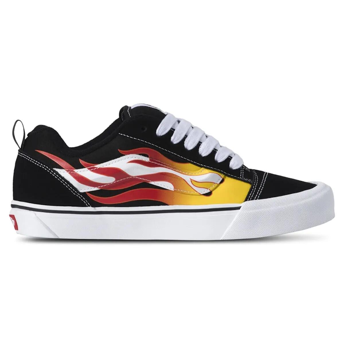 VANS picture