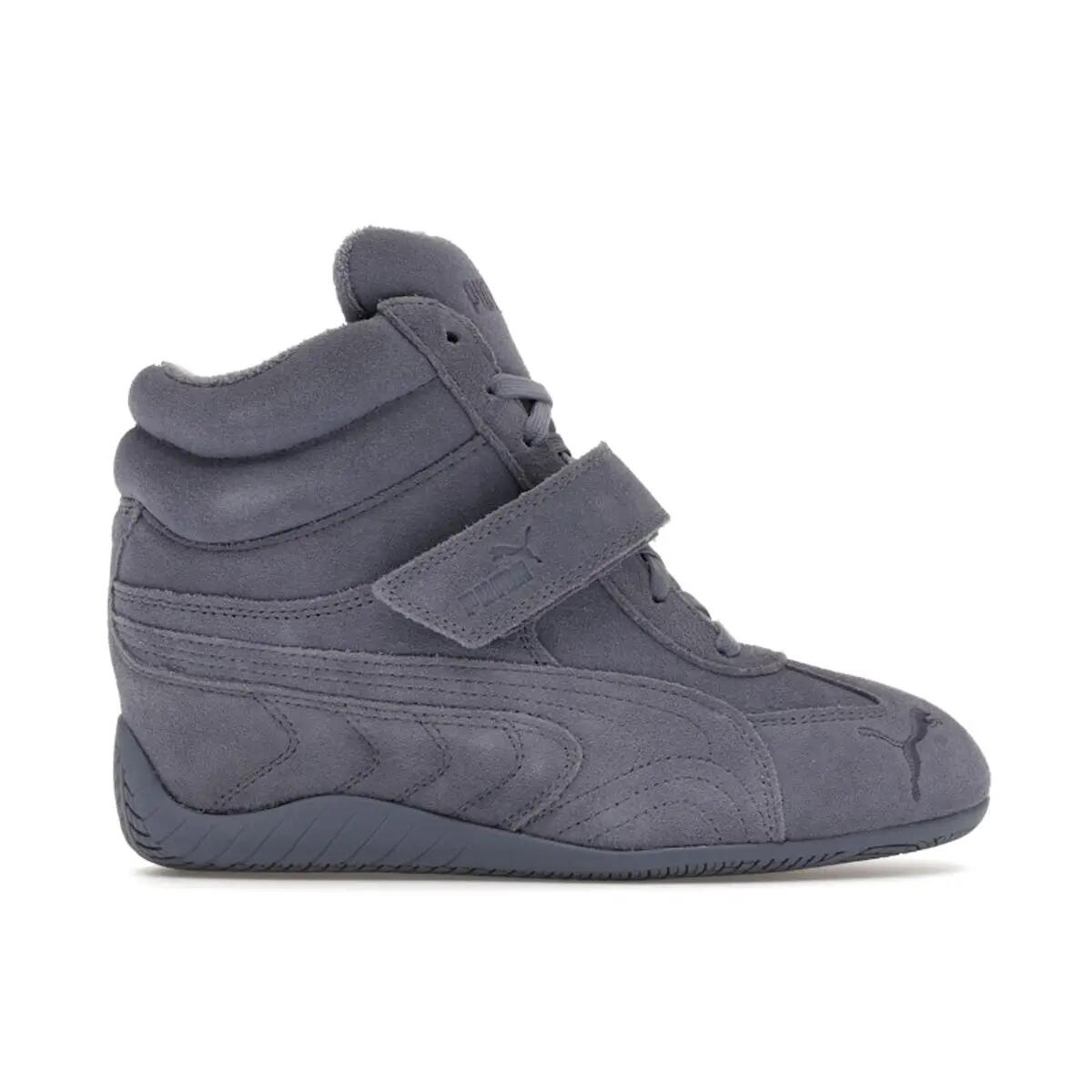 PUMA picture
