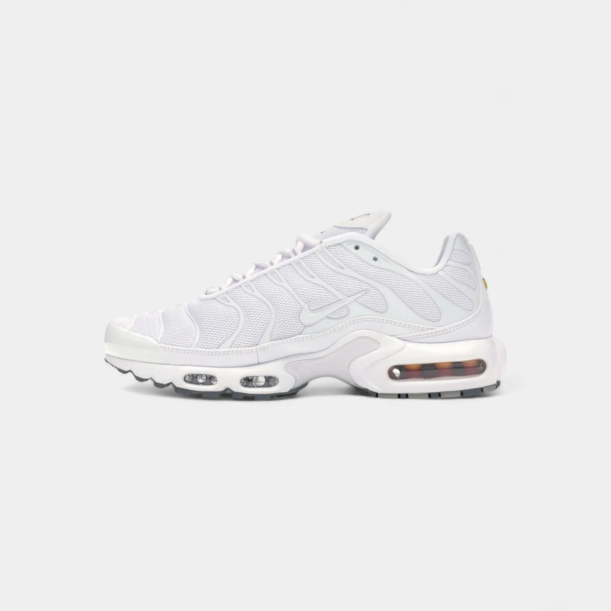 Nike Air Max Plus White 4/5