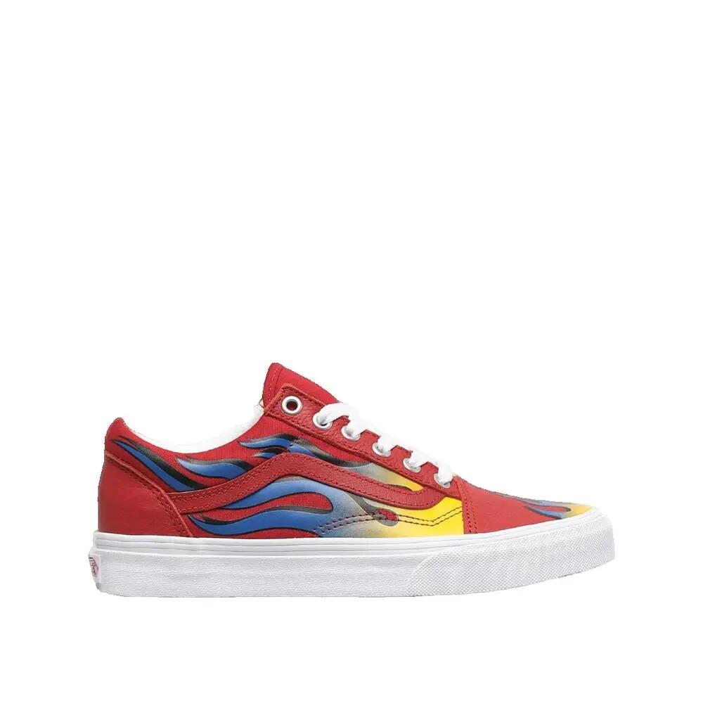 VANS picture