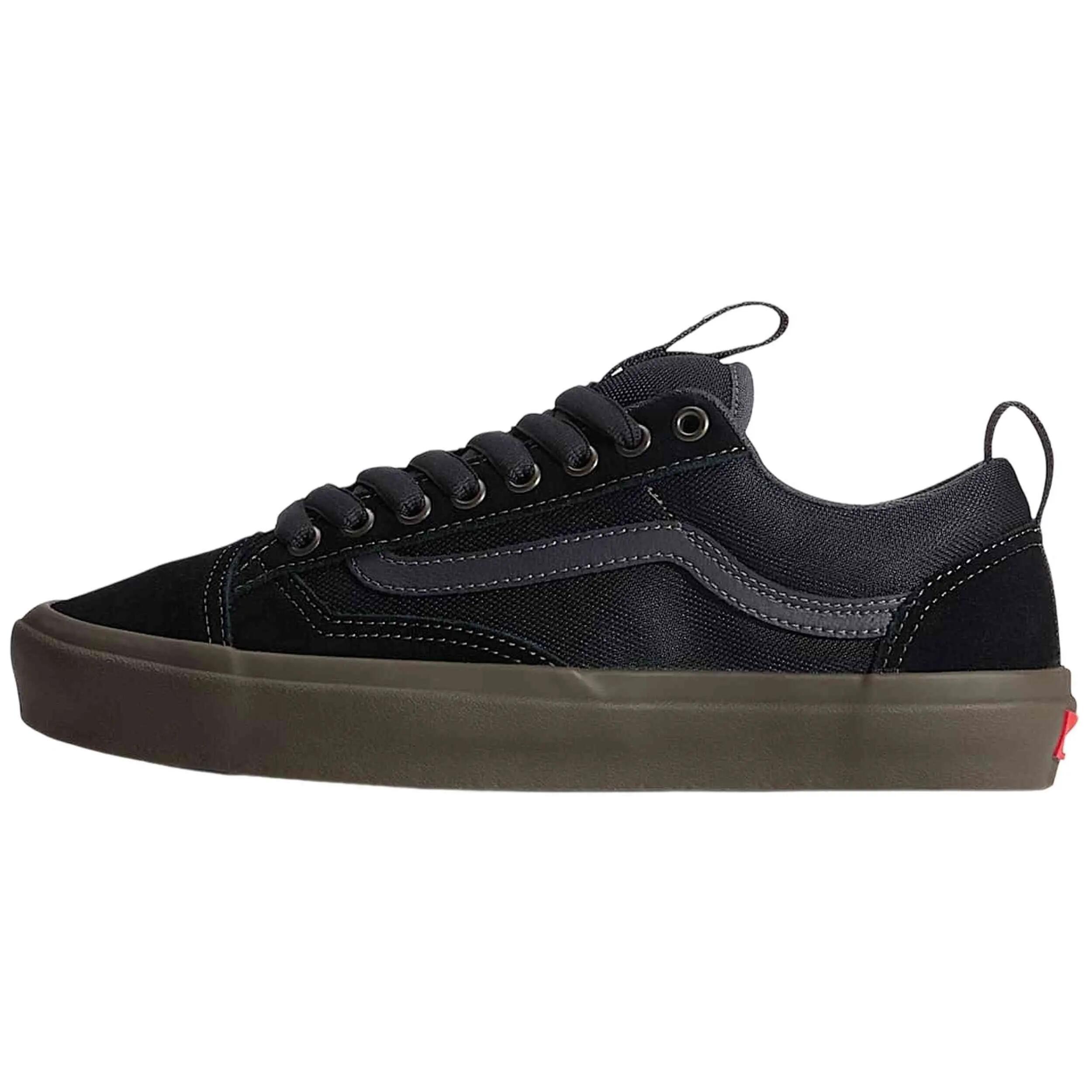 VANS picture