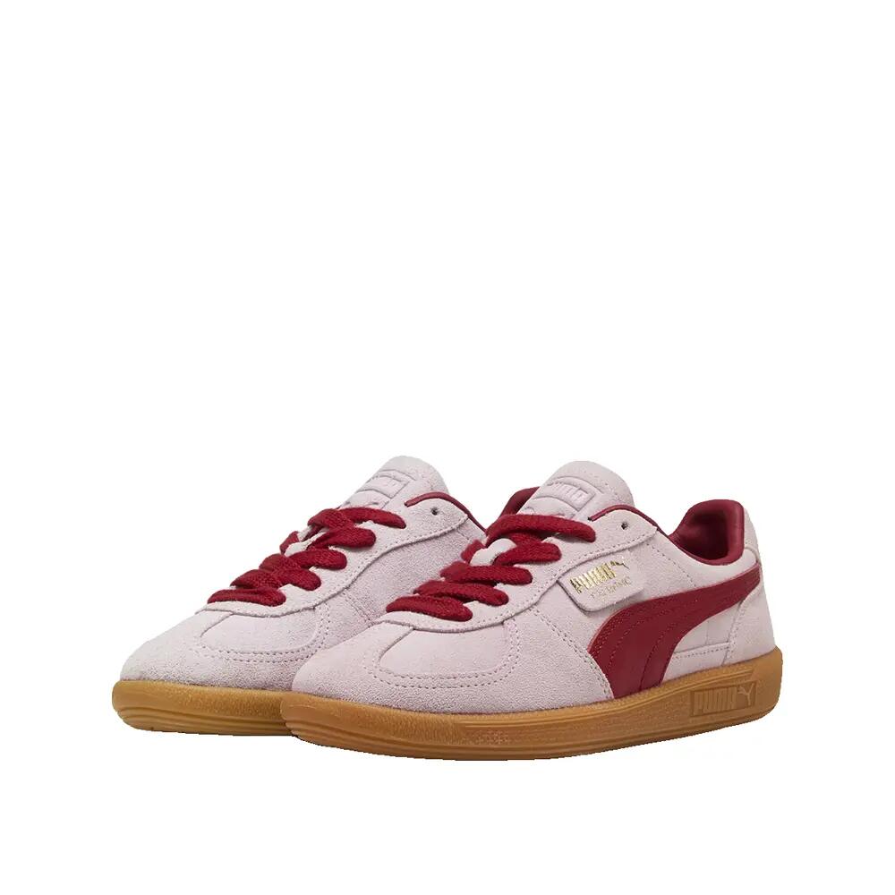 PUMA picture