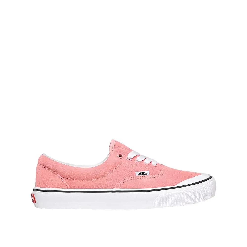 VANS picture