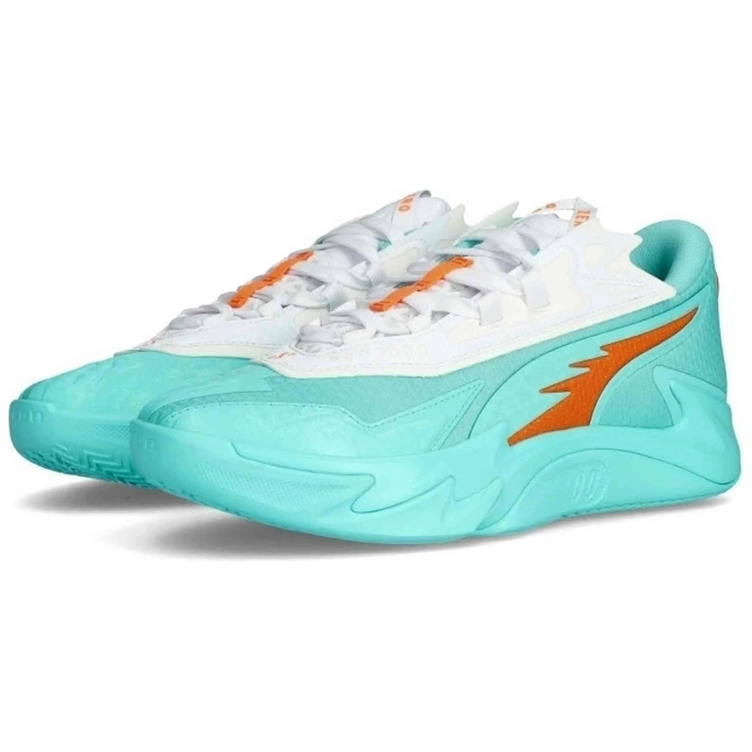 PUMA picture