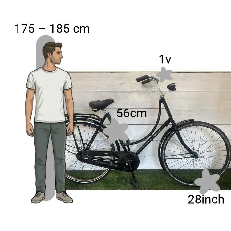 Bicicletta usata Batavus Old Dutch 2/4