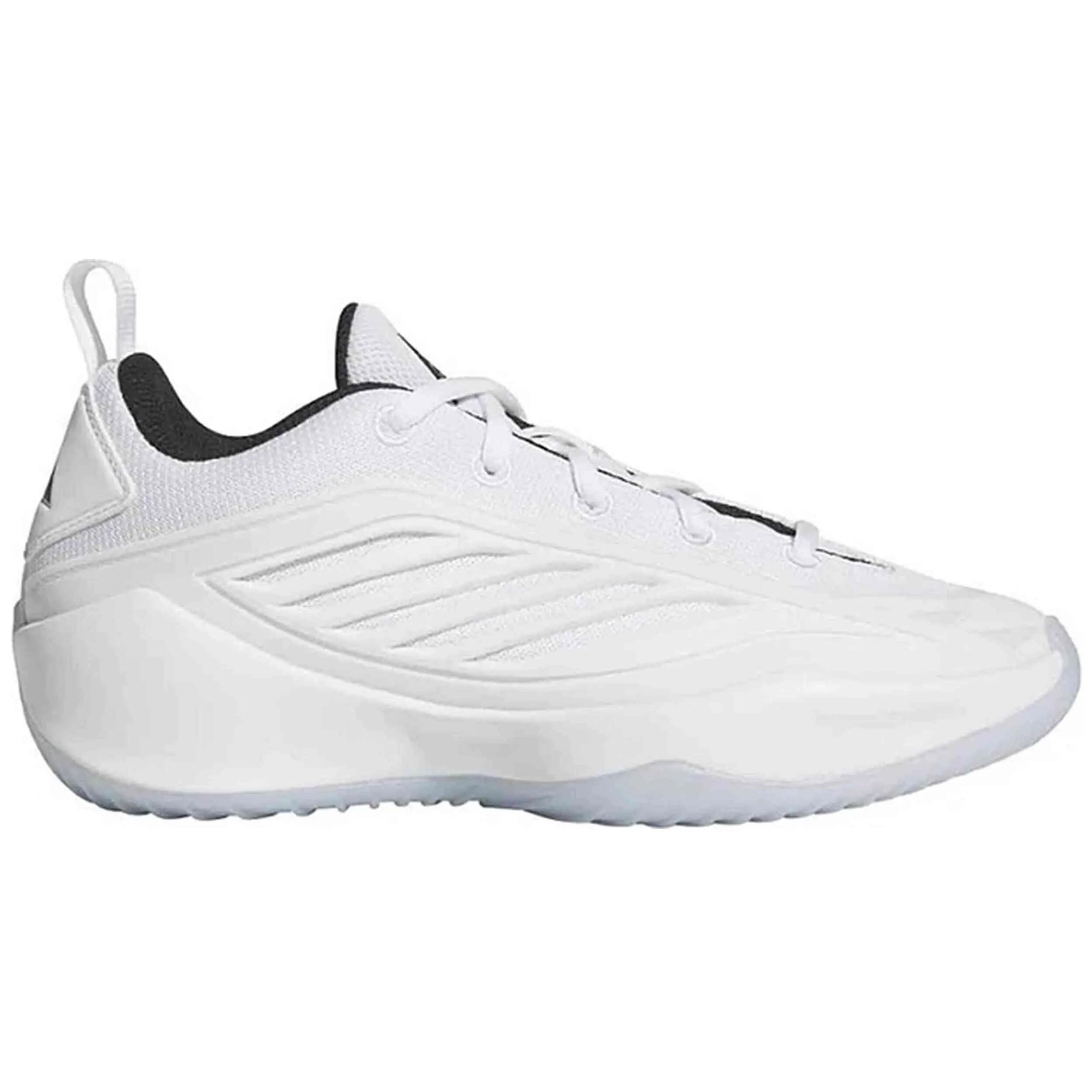 ADIDAS picture