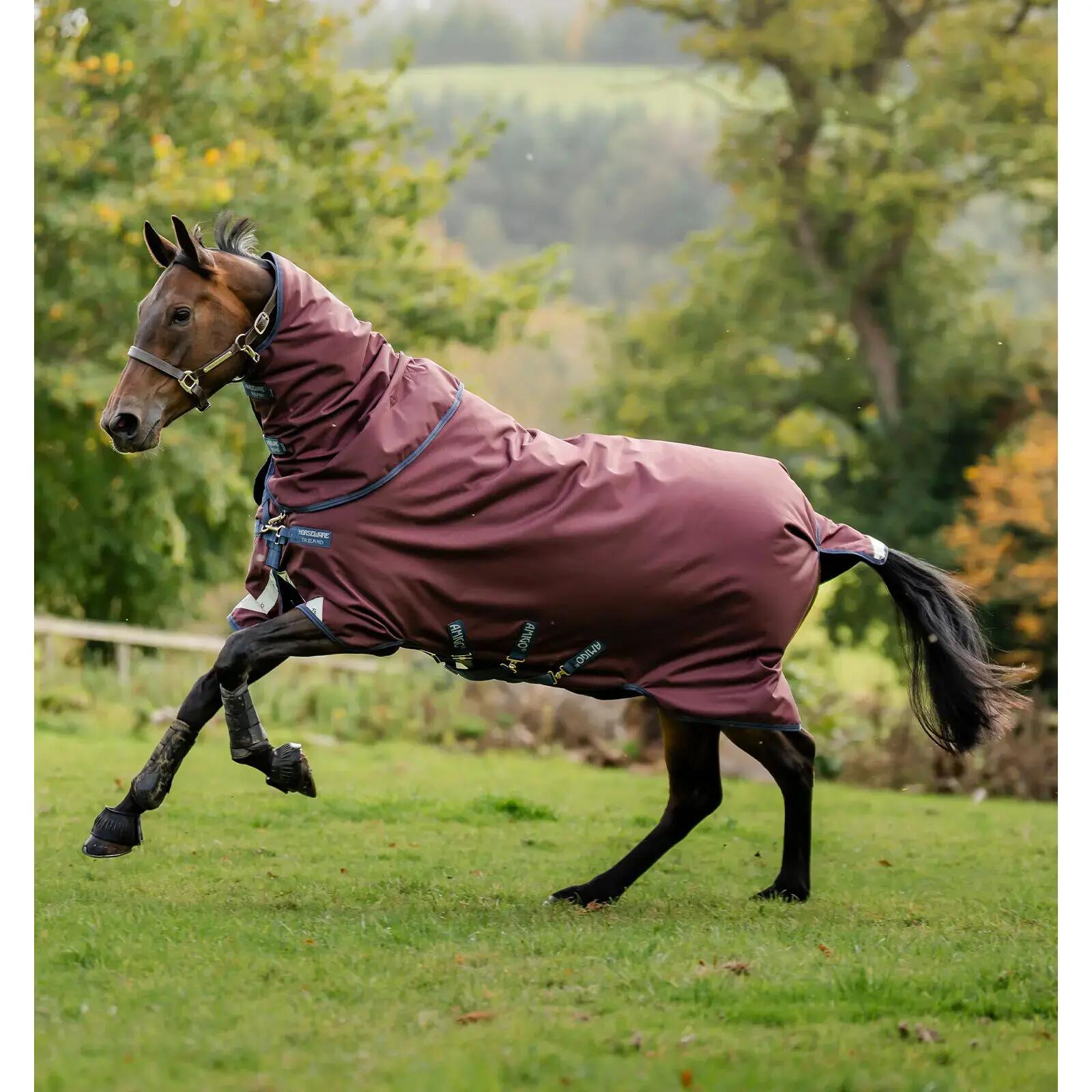 Zewnętrzna derka dla koni Horseware Amigo 1200D Plus 0g 2/7
