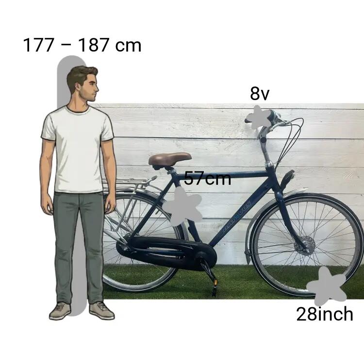 Bicicletta usata Batavus Biarritz 2/4