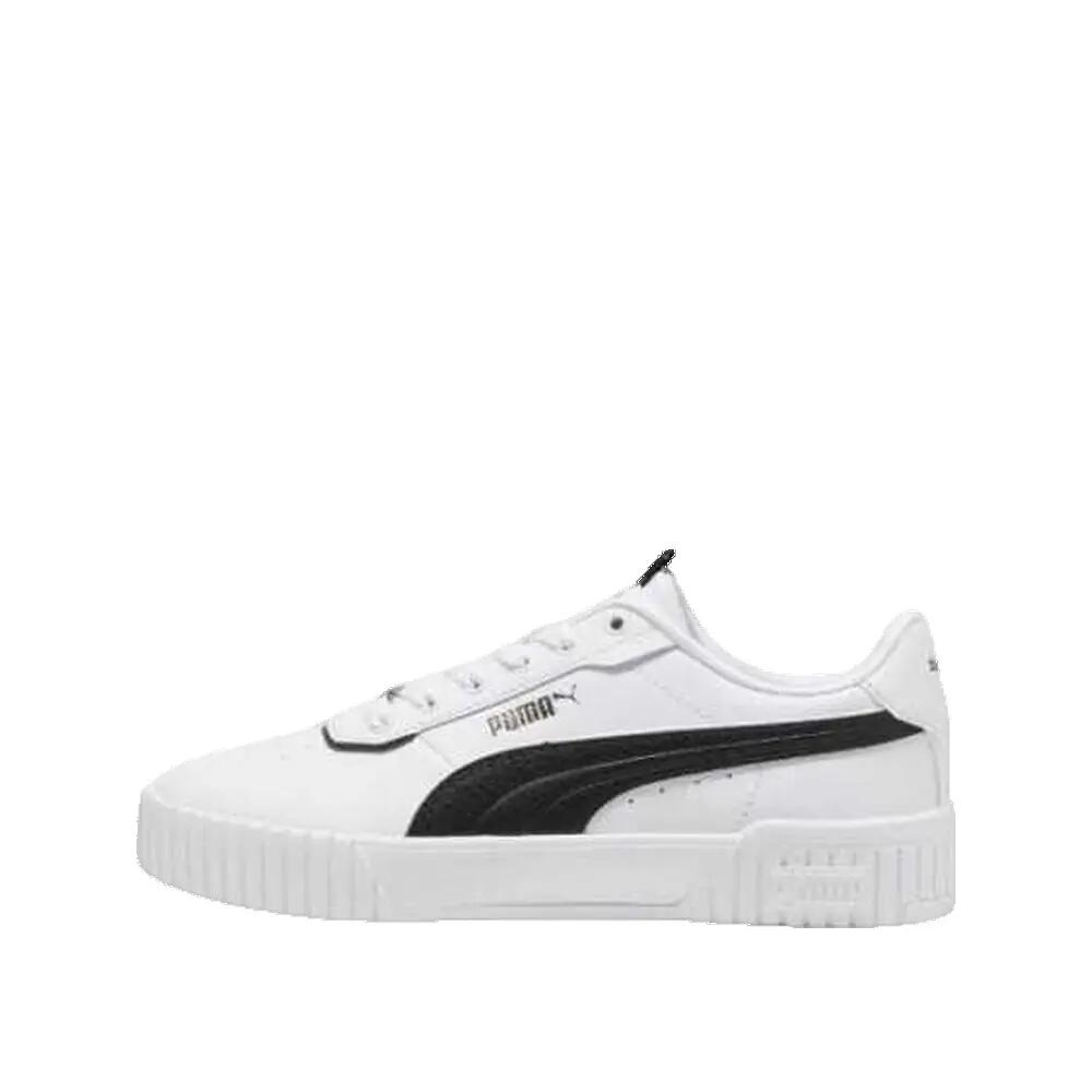 PUMA picture