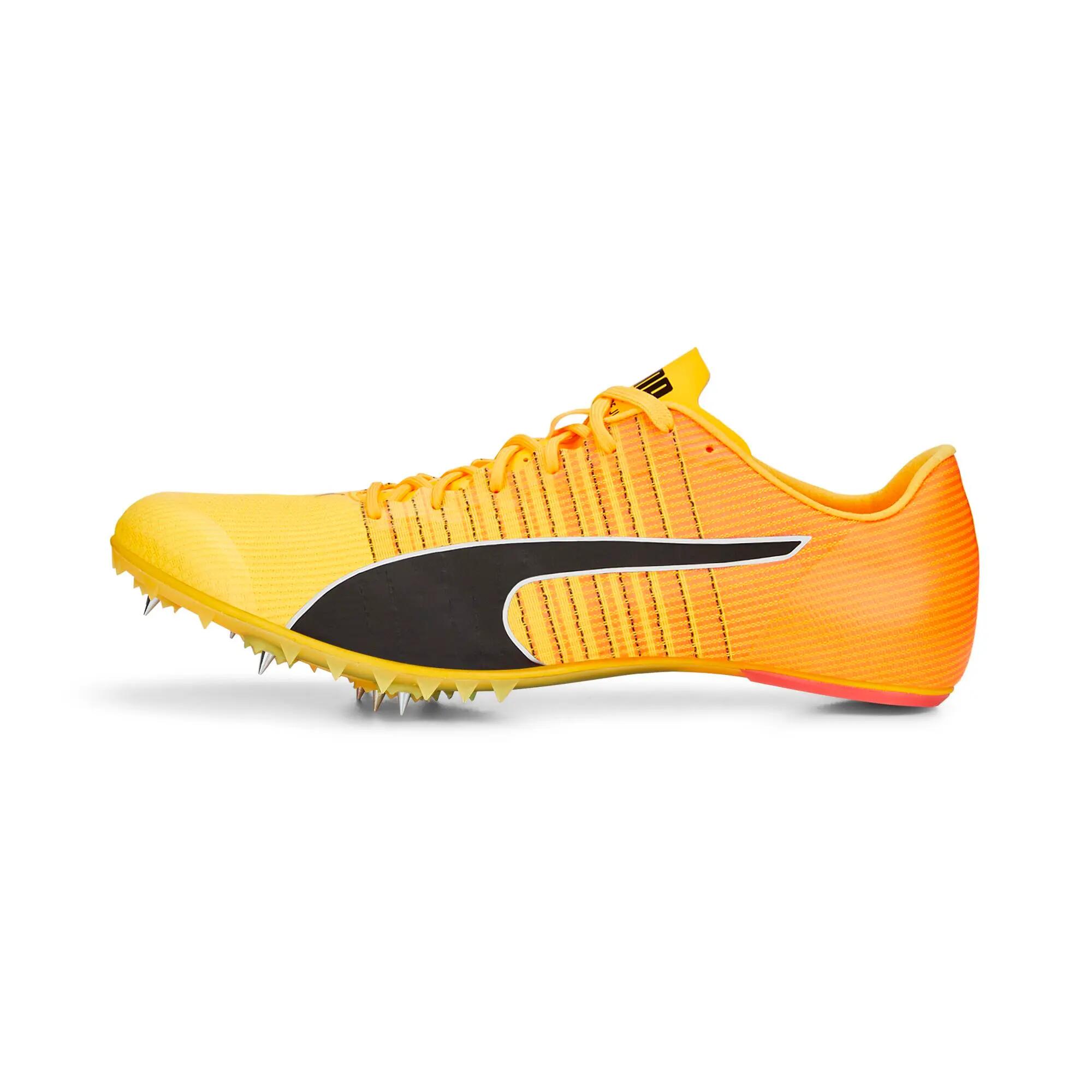 PUMA picture