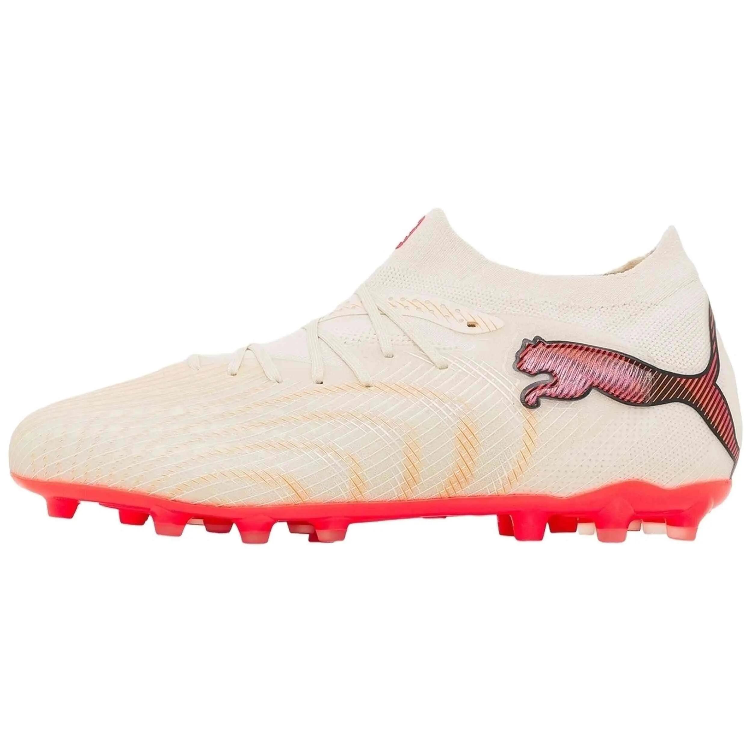 PUMA picture