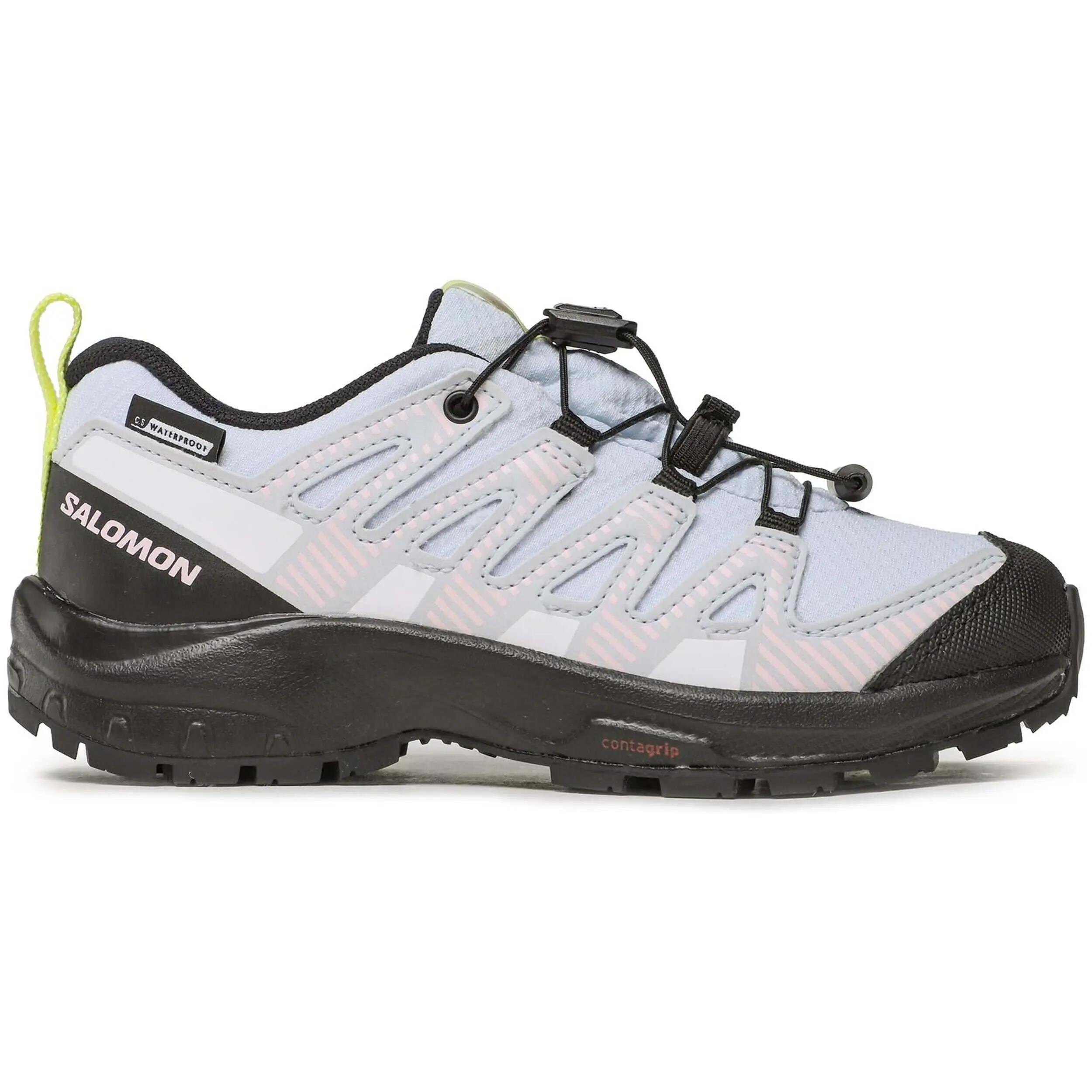 SALOMON picture