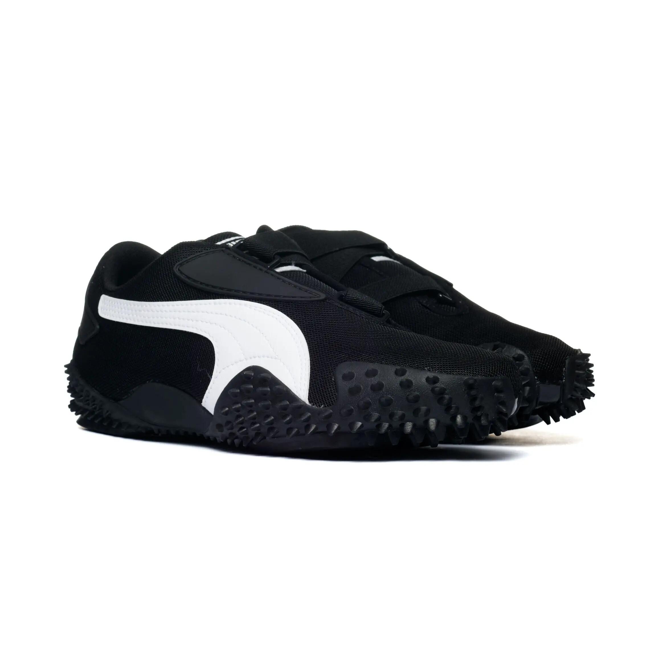 PUMA picture