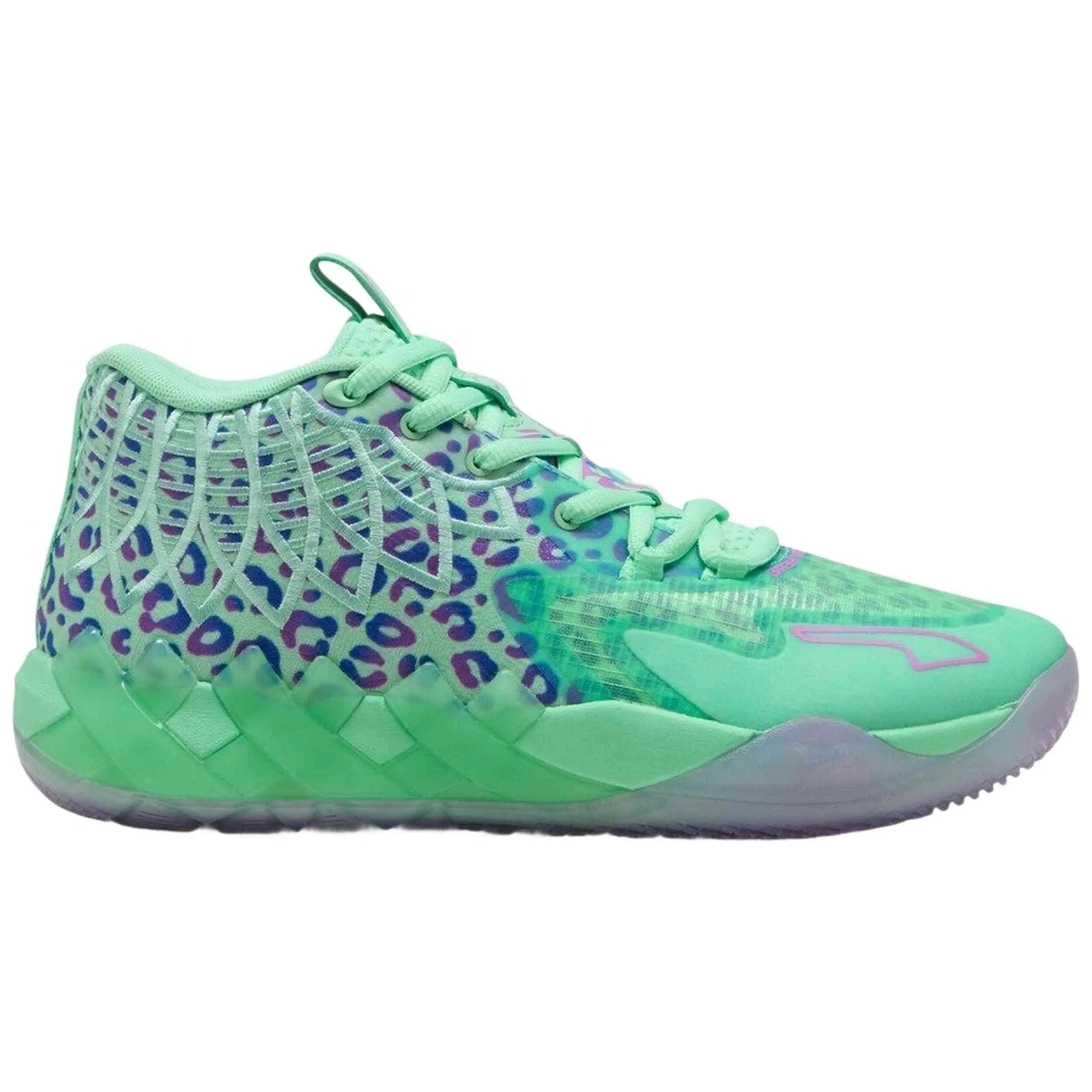 PUMA picture