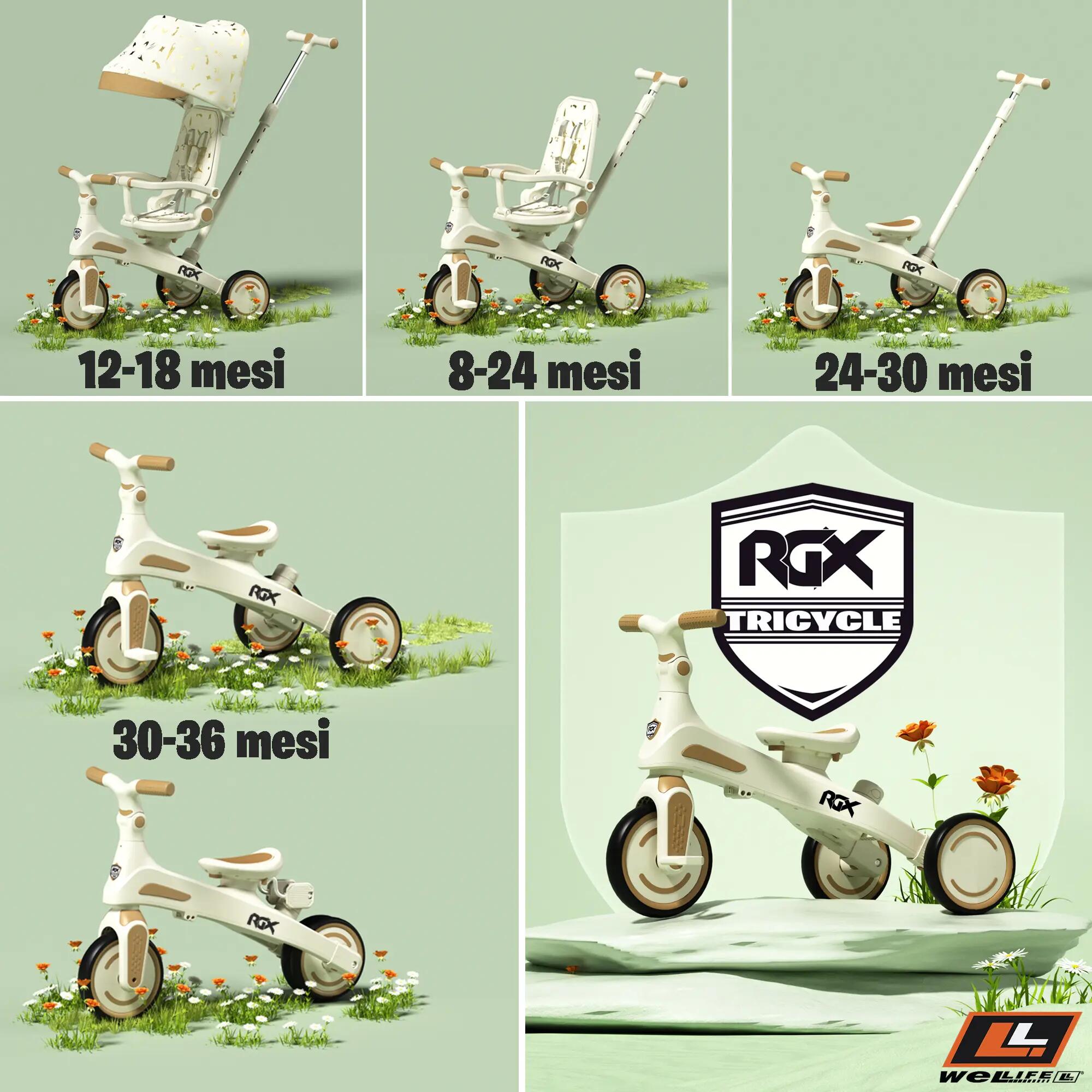 Triciclo Evolutivo 5 in 1 Bambini 1-3 Anni RGX EVO 3/9